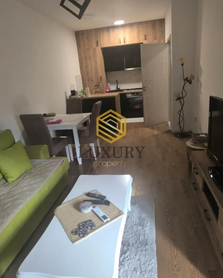 Rent, one bedroom apartment, 45m², Zabjelo, Podgorica