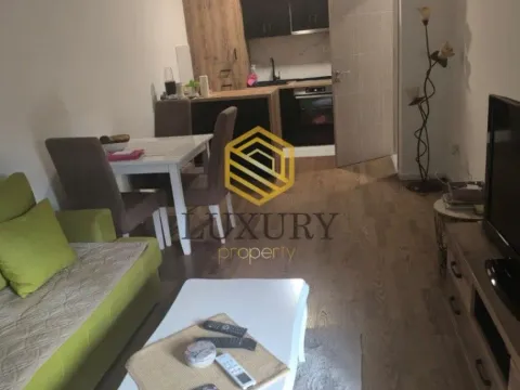 Izdavanje, jednosoban stan, 45m², Zabjelo, Podgorica - image 2