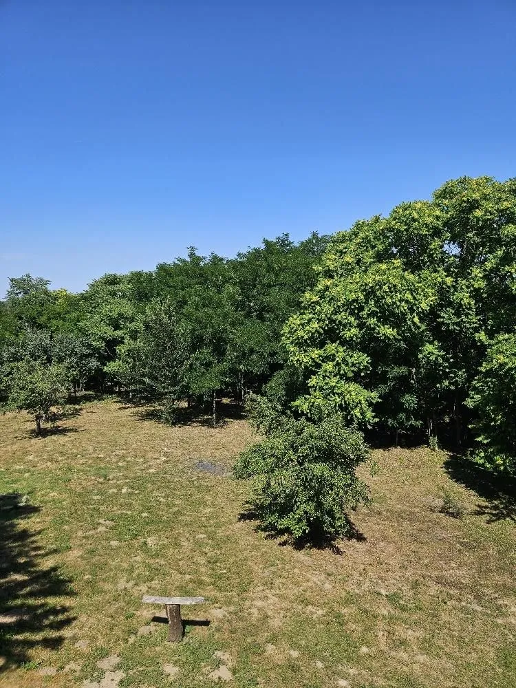 Prodaja, plac, 5000m², Stari Slankamen, Inđija