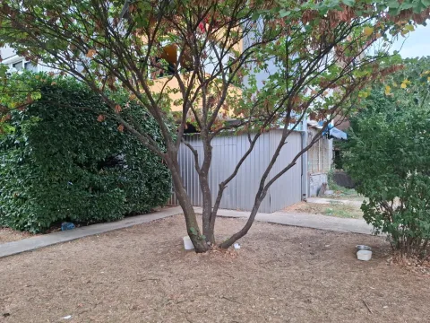 View of the courtyard and trees in front of the property. - image 2