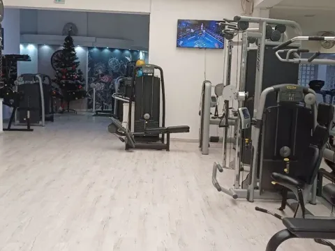 Prodaja, poslovni prostor, 1000m², Vračar, Šid - image 13