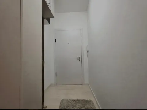 Izdavanje, jednosoban stan, 40m², Krivi Most, Podgorica - image 6