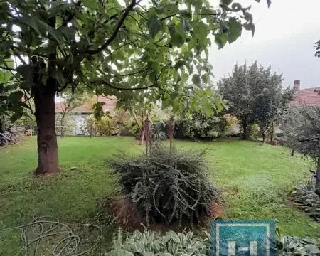 Prodaja, kuća, 325m², Solaris, Jagodina - image 31