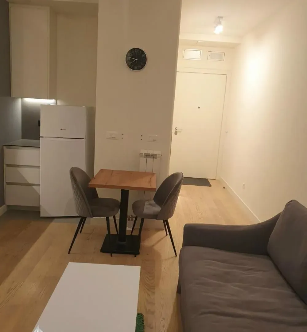 Rent, one bedroom apartment, 30m², Savski Venac, Beograd
