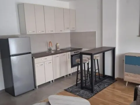 Izdavanje, garsonjera, 23m², Telep, Novi Sad Sve Podlokacije - image 3