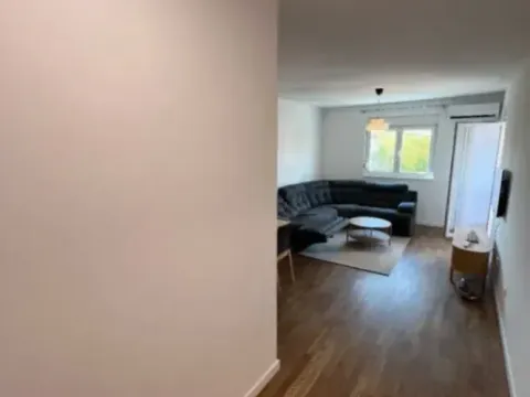 Izdavanje, jednosoban stan, 47m², Stari Aerodrom, Podgorica - image 9