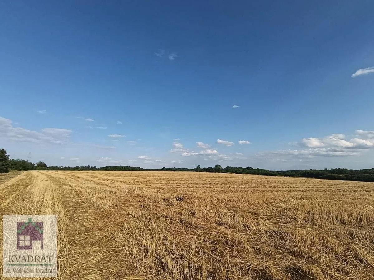 Prodaja, plac, 26300m², Trstenica, Obrenovac