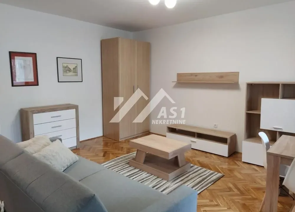 Izdavanje, dvosoban stan, 46m², Novi Sad Sve Podlokacije, Novi Sad