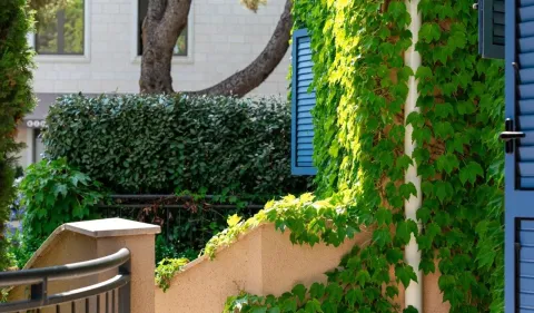 Prodaja, jednosoban stan, 37m², Luštica Bay, Tivat - image 13