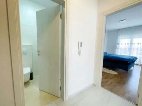 Izdavanje, jednosoban stan, 50m², Stari Aerodrom, Podgorica - image 3