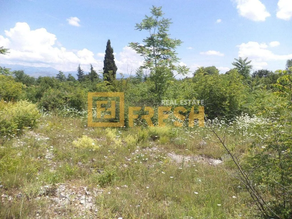 Prodaja, plac, 1200m², Danilovgrad, Crna Gora