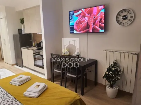 Sale, one bedroom apartment, 30m², Savski Venac, Beograd - image 10