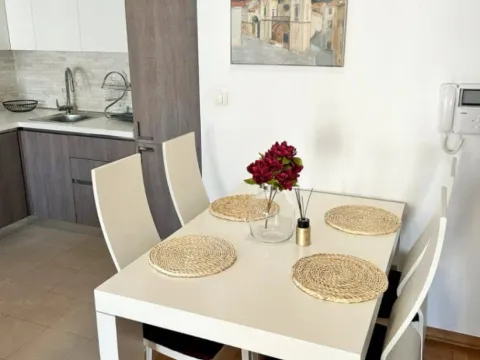 Rent, one bedroom apartment, 50m², Tološka šuma, Podgorica - image 2