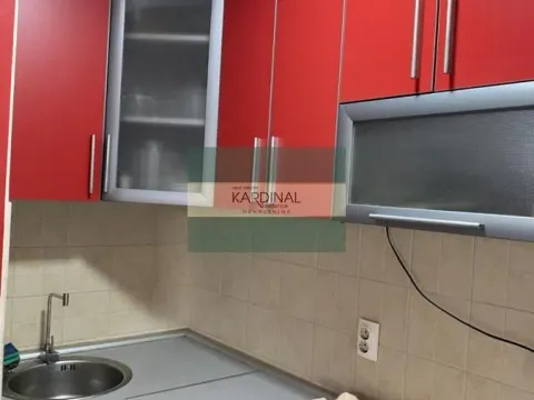 Izdavanje, jednosoban stan, 50m², Erdoglija, Kragujevac - image 10