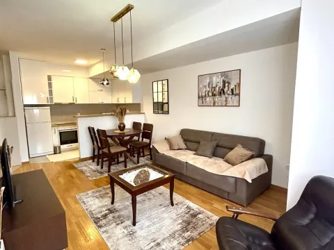 Izdavanje, dvosoban stan, 45m², Ljubović, Podgorica - image 4