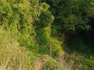 Prodaja, plac, 1589m², Utjeha, Bar - image 3