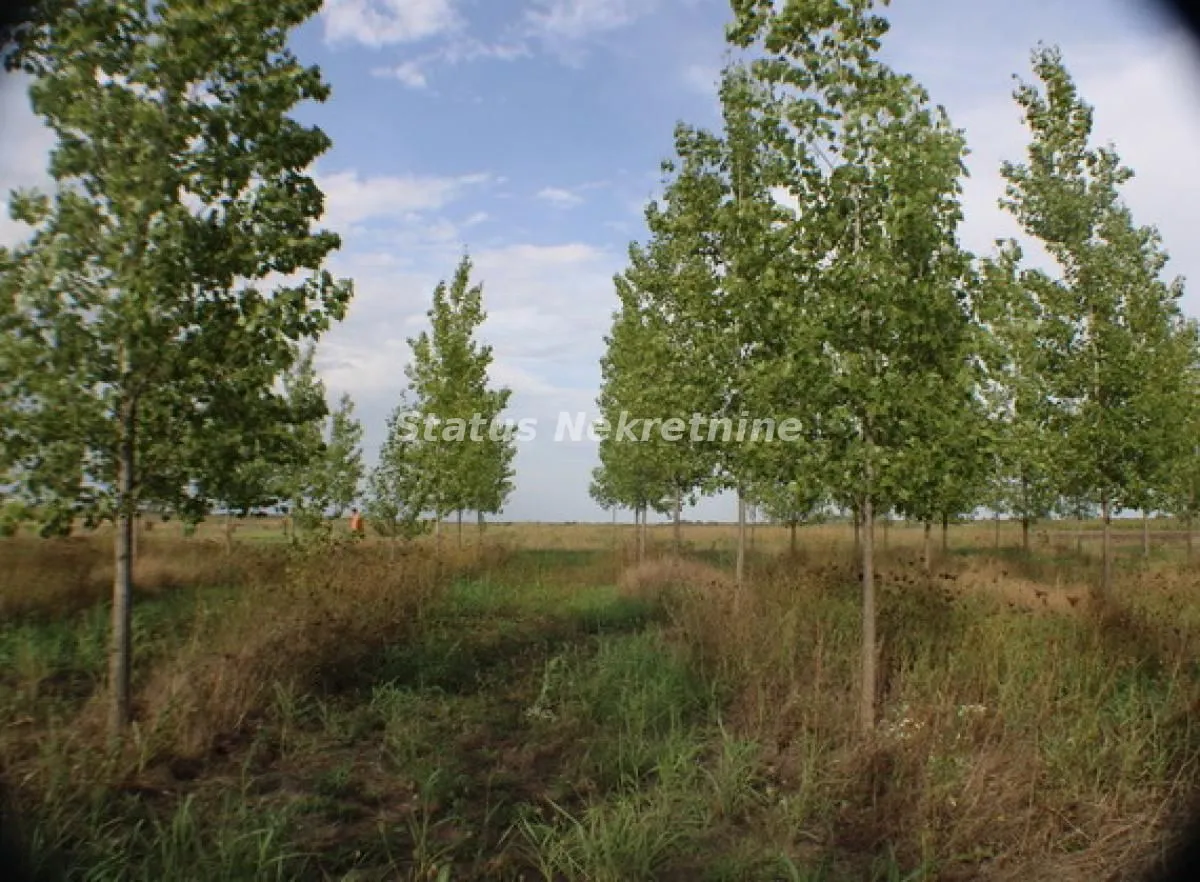 Prodaja, plac, 1378m², Zrenjanin, Srbija