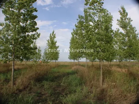 Prodaja, plac, 1378m², Zrenjanin, Srbija - image 33