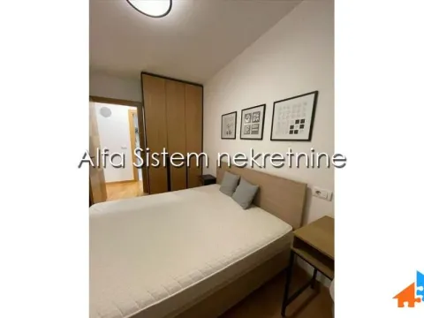 Izdavanje, dvosoban stan, 39m², Vračar Sve Podlokacije, Beograd - image 8