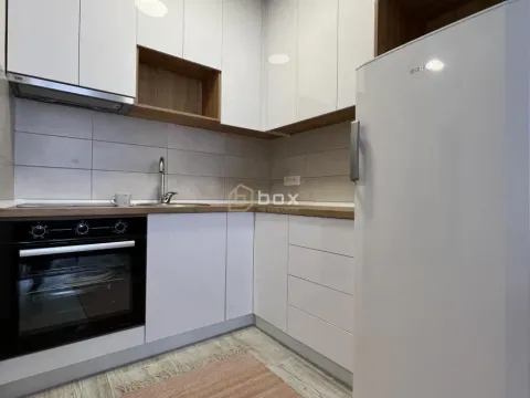 Rent, one bedroom apartment, 48m², Pantelej, Niš - image 6