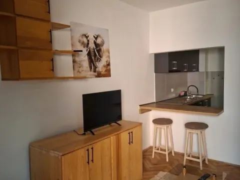 Izdavanje, jednosoban stan, 29m², Grbavica, Novi Sad Sve Podlokacije - image 3