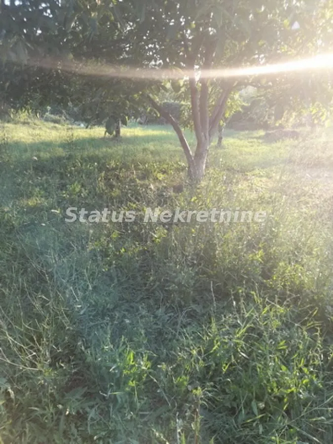 Prodaja, plac, 800m², Begeč, Novi Sad Sve Podlokacije