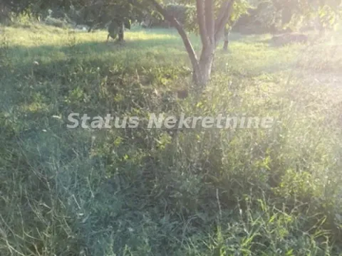 Prodaja, plac, 800m², Begeč, Novi Sad Sve Podlokacije - image 2