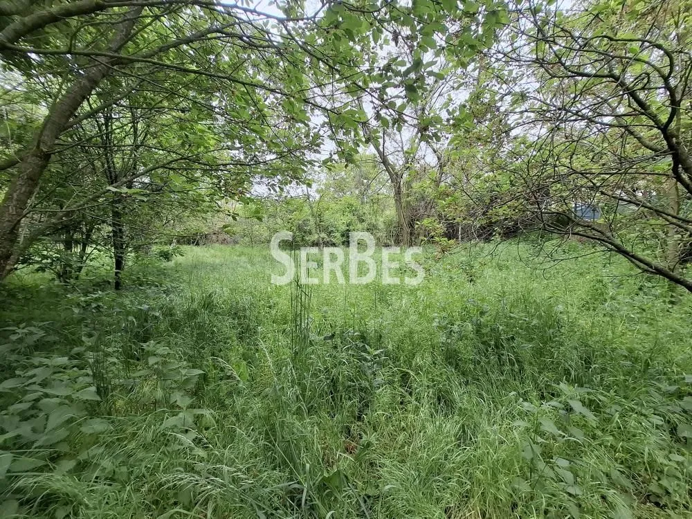 Prodaja, plac, 1048m², Čerević, Beočin