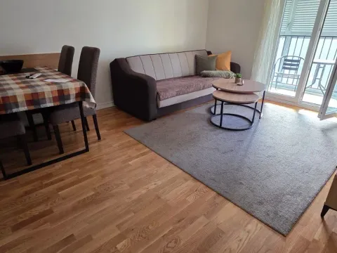 Rent, one bedroom apartment, 42m², Pobrežje, Podgorica - image 3