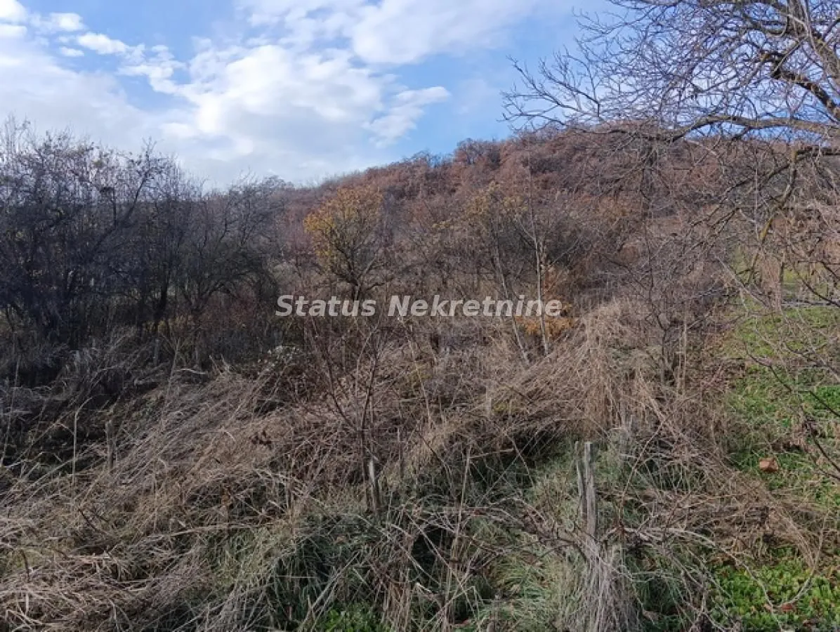 Prodaja, plac, 3333m², Sremski Karlovci, Novi Sad