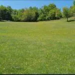 Prodaja, plac, 3000m², Kolašin, Crna Gora - image 3