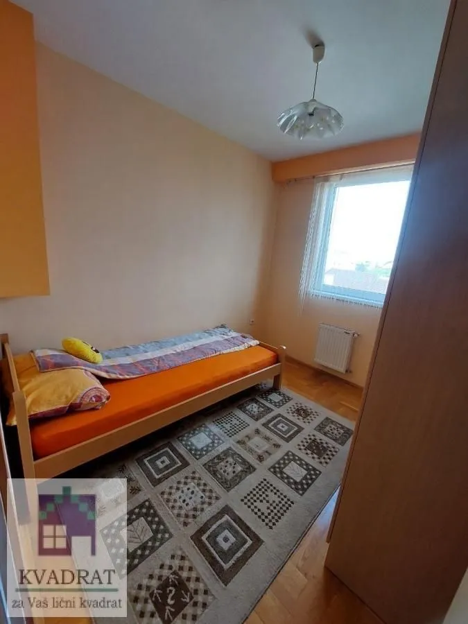 Smaller bedroom with a pull-out bed, rug, and a window.