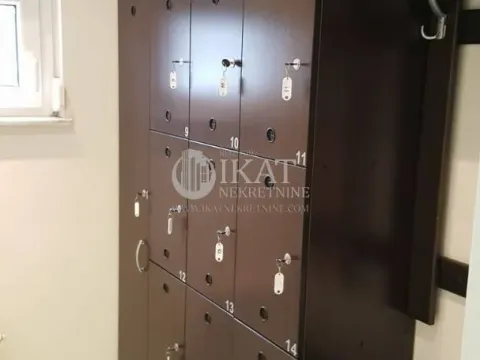 Izdavanje, poslovni prostor, 75m², Altina, Beograd - image 6