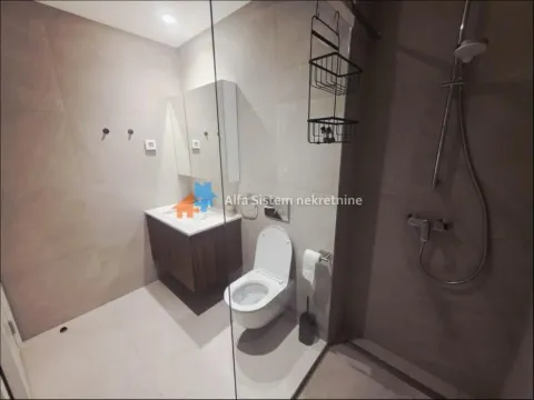 Izdavanje, trosoban stan, 76m², Savski Venac, Beograd - image 17