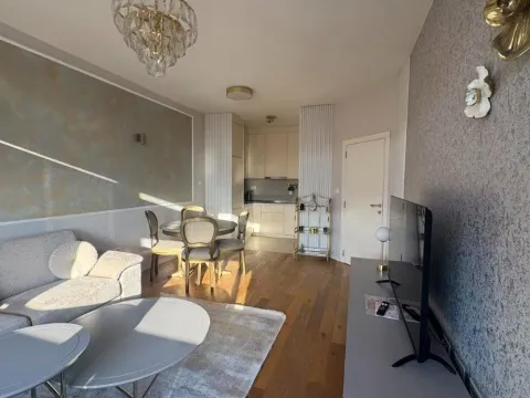 Izdavanje, jednosoban stan, 47m², Podgorica, Crna Gora - image 2