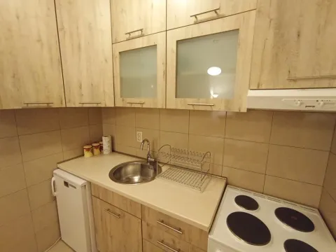 Rent, one bedroom apartment, 52m², Ljubović, Podgorica - image 7