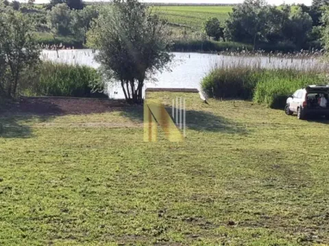 Prodaja, plac, 1700m², Irig, Srbija - image 3