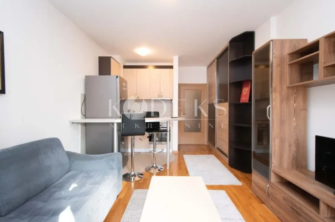 Izdavanje, garsonjera, 30m², Tuški Put, Podgorica