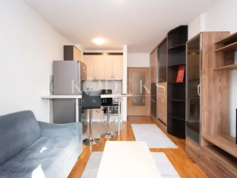 Izdavanje, garsonjera, 30m², Tuški Put, Podgorica - image 2