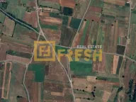 Prodaja, plac, 4366m², Zeta, Podgorica - image 1