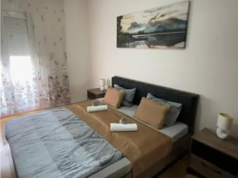Izdavanje, jednosoban stan, 40m², Central Point, Podgorica - image 3