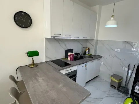 Rent, one bedroom apartment, 38m², Budva, Crna Gora - image 5