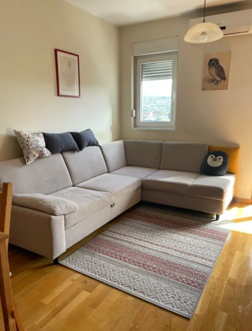 Izdavanje, jednosoban stan, 43m², Stari Aerodrom, Podgorica