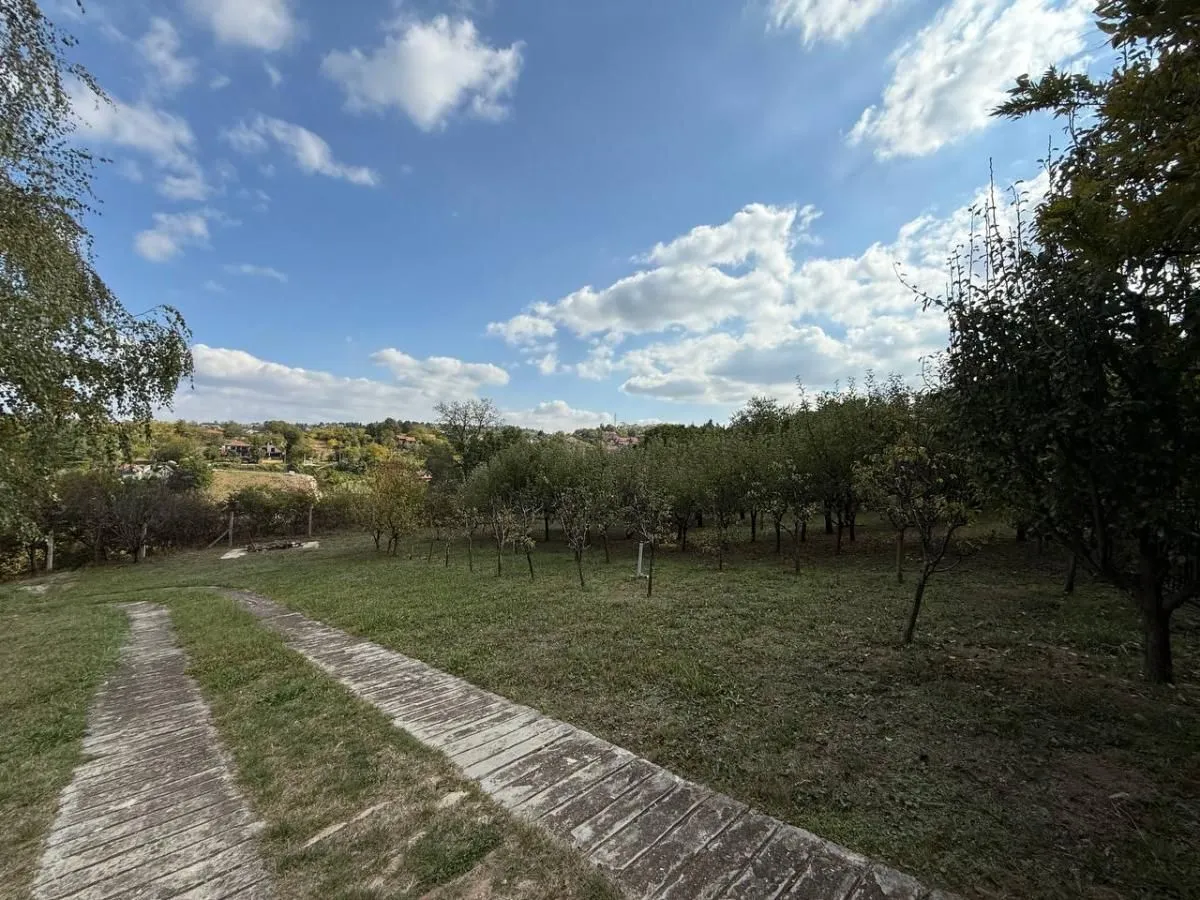 Sale, house, 204m², Bocke, Petrovaradin