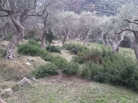 Prodaja, plac, 1604m², Velembusi, Bar - image 4