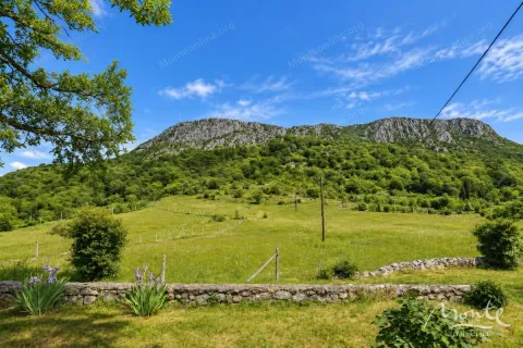 View of the green yard and surrounding mountains. - image 4