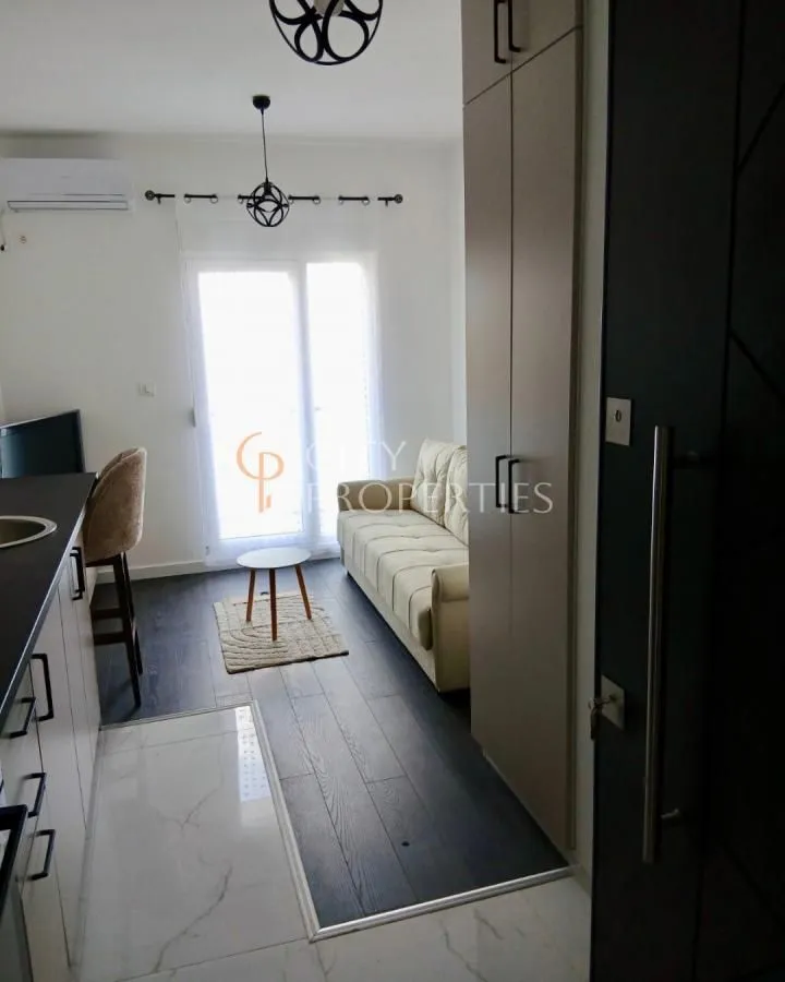 Izdavanje, stan, 22m², Zabjelo, Podgorica