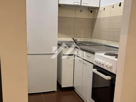 Rent, two bedroom apartment, 40m², Telep, Novi Sad Sve Podlokacije - image 6