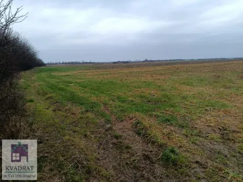 Prodaja, plac, 23500m², Obrenovac, Beograd - image 2