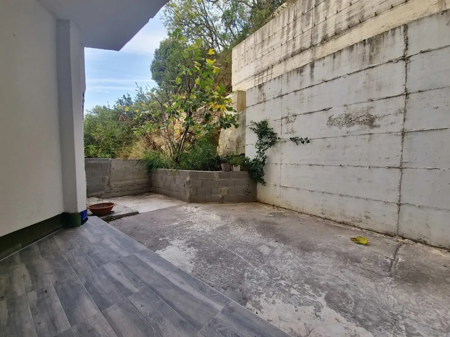 Paved courtyard with greenery and a high concrete wall.